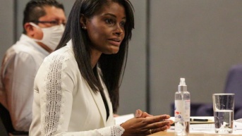 Diana Salazar Méndez durante un conversatorio con medios de comunicación en 2020. (Flickr)
