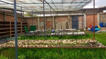 Miles de aletas de tiburón estaban guardadas en un inmueble. (Fiscalía)