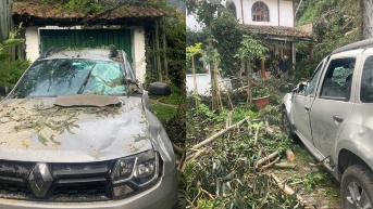 Caída de árboles en El Cebollar (Álex Cevallos/ECUAVISA)