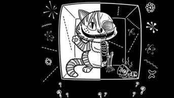 ¿Vivo o muerto? El famoso gato de Schrödinger en el Día Mundial de la Cuántica. (BBC)