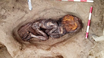 Fotografía cedida por la Zona Arqueológica Caral del yacimiento de la Huaca de los Ídolos, dentro del sitio arqueológico Áspero, una antigua ciudad pesquera perteneciente a la civilización Caral. (EFE)