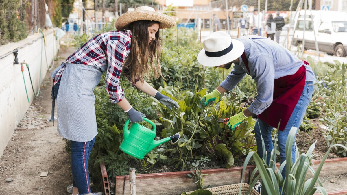 Imagen referencial de un huerto urbano en Quito. (Freepik)