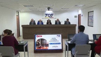 La sesión del Tribunal Contencioso Electoral de este 29 de abril de 2025. (Captura de pantalla)