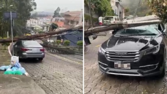 Imágenes de los carros afectados por la caída de árboles. (Cortesía del ECU 911)