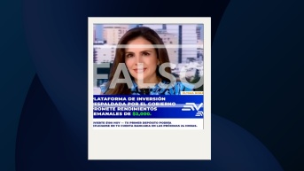 Captura de una de las grabaciones que circulan en Internet con información falsa. (Internet)