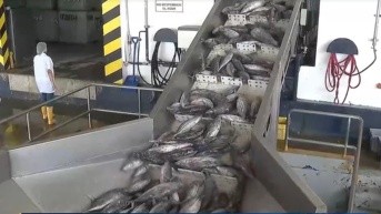 Imagen Ecuavisa (Ecuavisa)