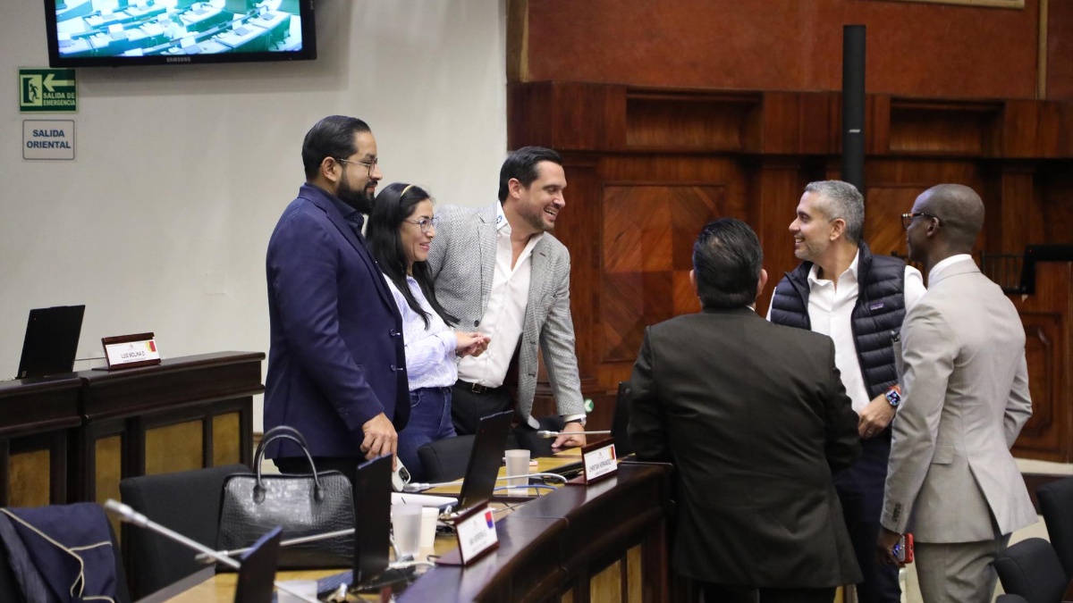 Asambleístas de la Revolución Ciudadana en el Pleno del Legislativo. (Flickr Asamblea: Iván Matute)