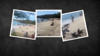 Los ciudadanos incumplieron numerosas reglas durante su visita a Playa Mann en Año Nuevo. (Ecuavisa)