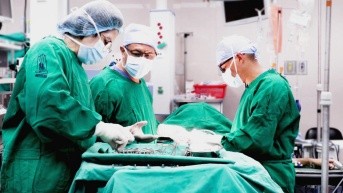 Imagen referencial. (Cortesía de IESS)