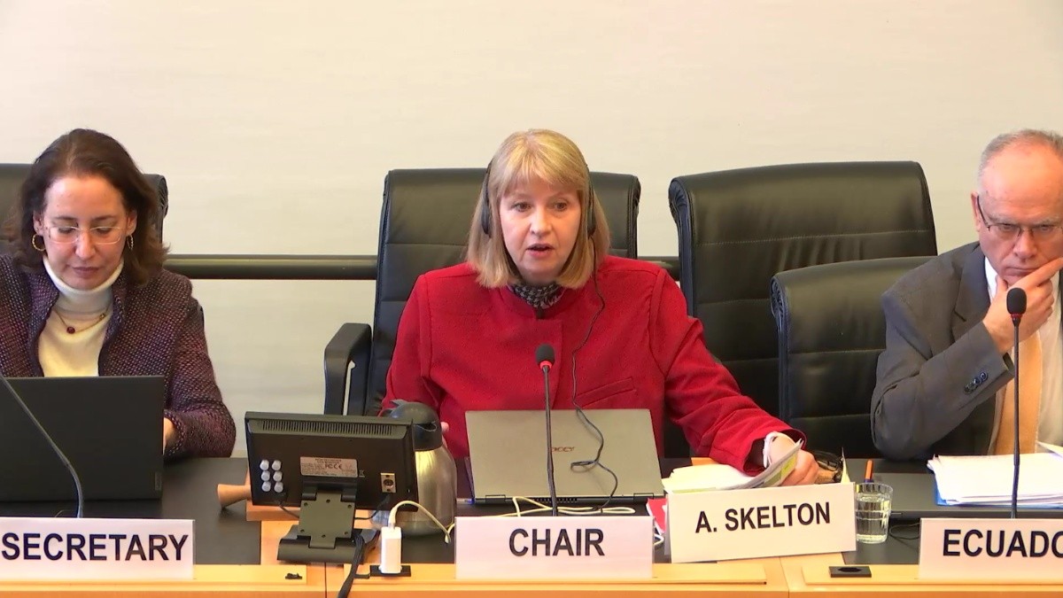 Imagen de Ann Skelton, presidenta del Comité de Derechos del Niño  de la Organización de Naciones Unidas (ONU). (Captura de pantalla)