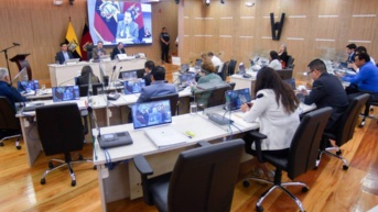 Sesión del Concejo Metropolitano de este martes 28 de enero de 2025. (Concejo Metropolitano)