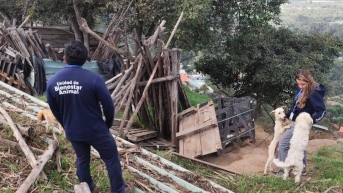 En San Vicente de Guayllabamba se aplicó el protocolo Atrapar, Esterilizar y Retornar. (UBA Quito)