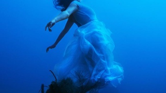 Sesión de fotos bajo el agua. (Steve Haining)