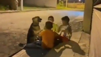 Niños jugando con un perrito callejero. (X)