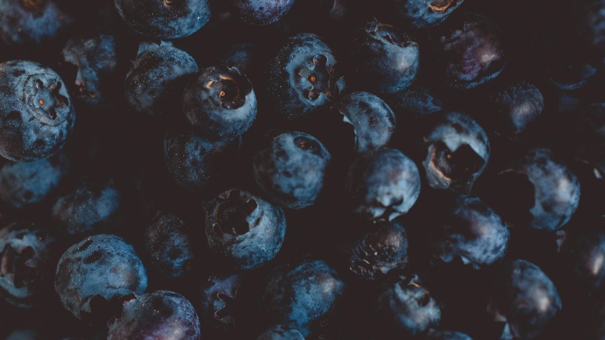 Arándanos. (Pexels)