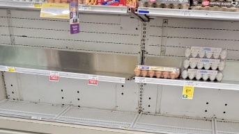Cubetas de huevos con sobreprecio en un supermercado de Estados Unidos. (LIZ RIVERA)