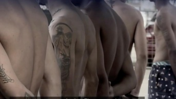 Imagen Ecuavisa (Ecuavisa)