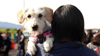 Un hombre carga a su mascota en Quito. (Cortesía de Quito Informa)