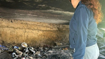 Ese es el lugar en donde Maní fue rescatada, en el intercambiador de Carcelén, norte de Quito. (Cortesía del Municipio)