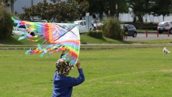 Un niño sosteniendo la cometa durante sus vacaciones de verano. (API)