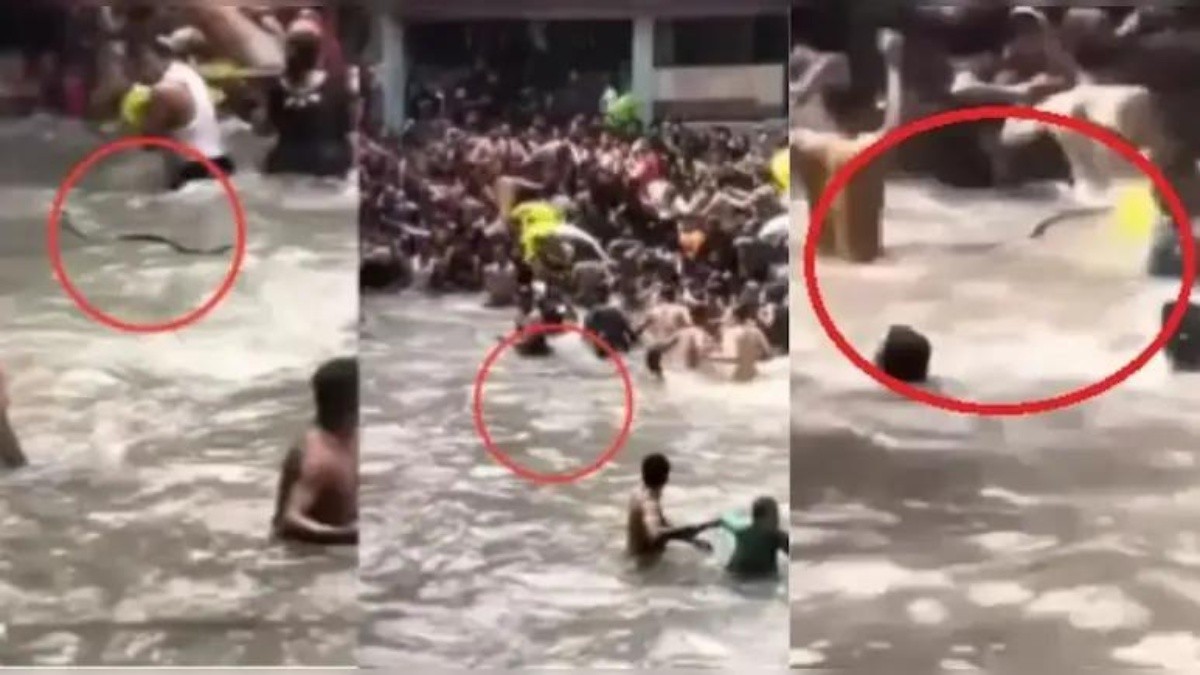 Serpiente en balneario en la India. (Capturas del video)