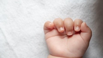 Imagen referencial de la mano de un bebé. (Freepik)