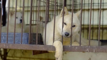 Imagen Ecuavisa (Hyunjung Kim/BBC News)