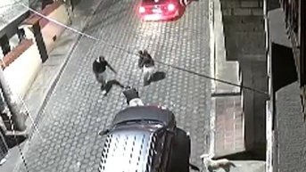 Robo de auto en Puengasí (Captura)