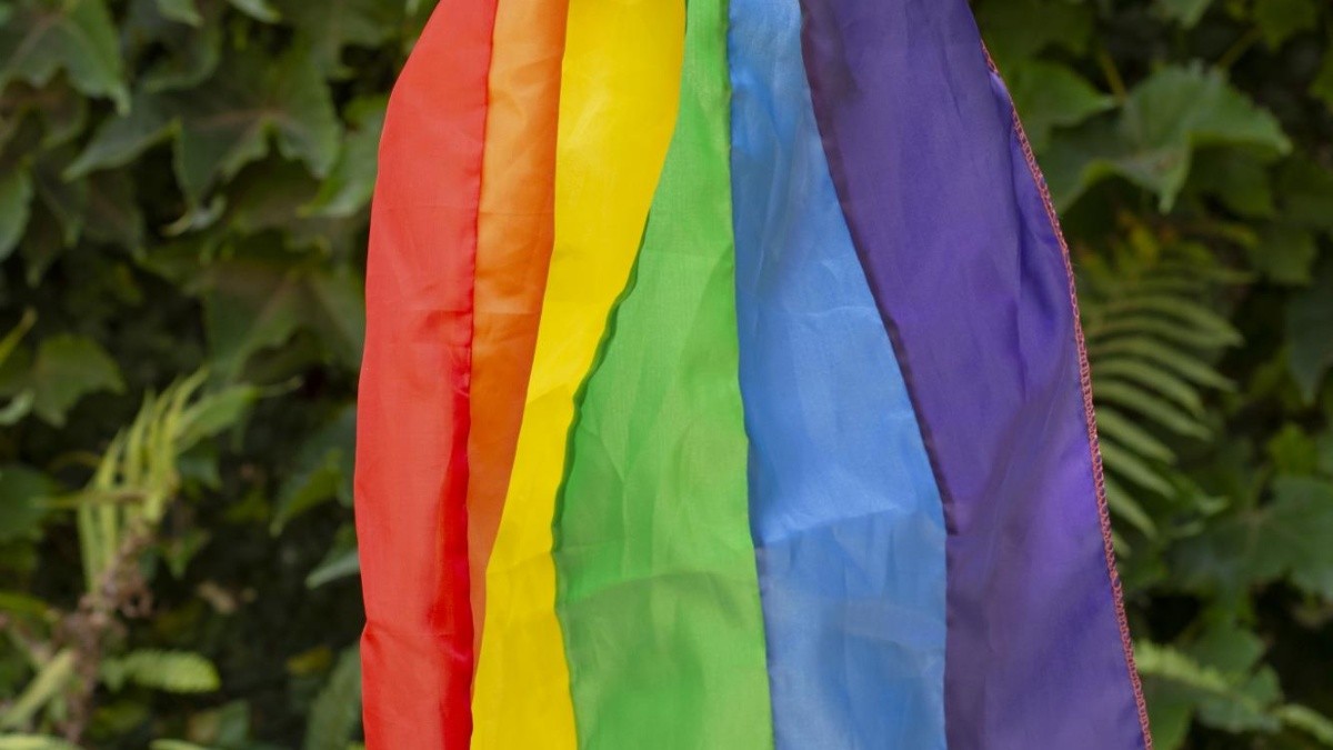 Imagen ilustrativa de pride (Freepick)