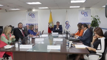 Sesión del Pleno del Consejo de Participación Ciudadana. (Foto: API)