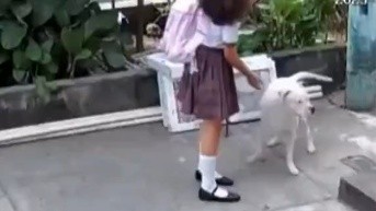 Menor atacada por un pitbull (Archivo)