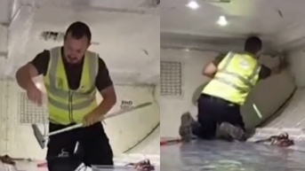 Serpiente en australia (Internet)