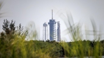 Fotografía de la nave espacial SpaceX Dragon en un cohete Falcon 9, que transporta la misión NASA Crew-11. (EFE)