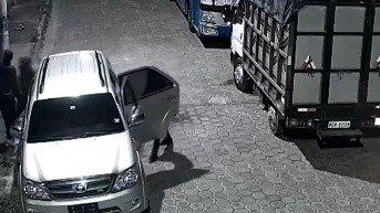 Delincuentes drogan a perros para robar (Televistazo)