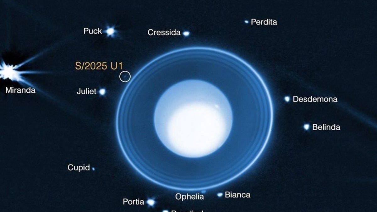 20/08/2025 El telescopio James Webb descubre una nueva luna que orbita alrededor de Urano. El telescopio espacial James Webb de la NASA ha descubierto una nueva luna que orbita alrededor de Urano, un descubrimiento que amplía la familia de satélites conocidos del planeta, según ha informado la agencia espacial. La detección se realizó durante una observación el pasado 2 de febrero de 2025. POLITICA NASA / JAMES WEBB (NASA / JAMES WEBB / Europa Press)