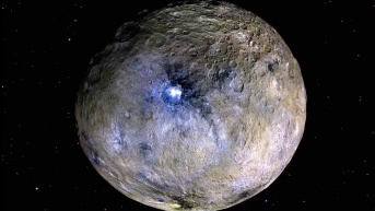 El planeta enano Ceres se muestra con colores mejorados, basadas en imágenes de la misión Dawn de la NASA. Nuevos modelos térmicos y químicos indican que Ceres pudo haber tenido hace mucho tiempo condiciones propicias para la vida. (NASA/JPL-CALTECH/UCLA/MPS/DLR/IDA - Europa Press)