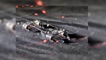 Robot insecto de MIT (Internet)