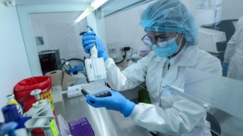 Actividades de investigación (Inspi)