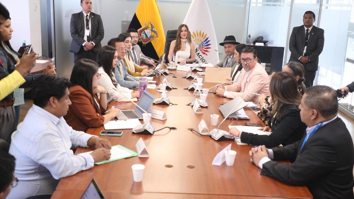 La sesión de la Comisión de Relaciones Internacionales. (Flickr de la Asamblea Nacional)