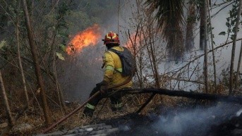 Uno de los incendios reportados, en 2024, en el Distrito Metropolitano de Quito. (Cortesía de Quito Informa)