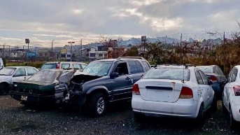Los carros acumulados en los patios de retención. (Cortesía de Quito Informa)