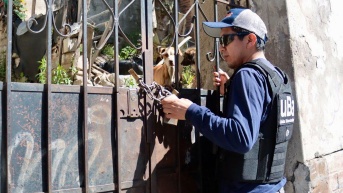 Tres perros fueron abandonados en una vivienda de Quito. (UBA)