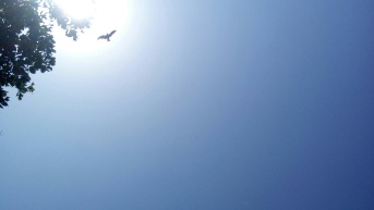 Radiación extrema en todo el país este 15 lunes de septiembre (Foto de  VNM Shankar Kandregula [Unsplash])