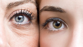 Detener el envejecimiento (Internet)