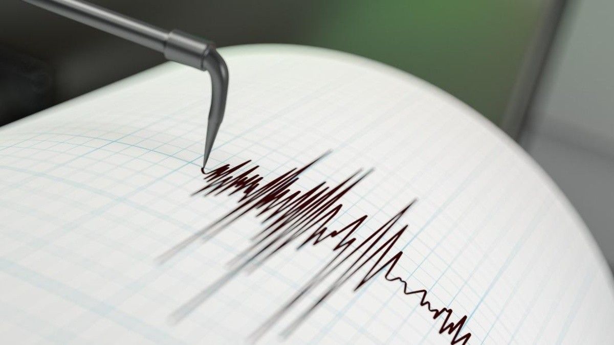 Imagen referencial para graficar un sismógrafo. (Canva)