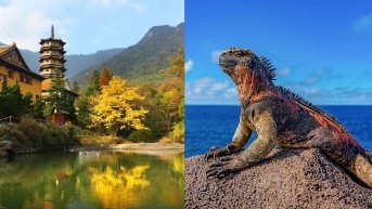 Imagen Ecuavisa (Kenneth Triviño)