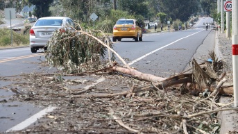 Cierres viales en la ruta Tabacundo - Cajas y Cayambe - Cajas. (API)