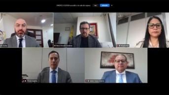 La sesión virtual del Consejo de la Judicatura. (Cortesía del CJ)