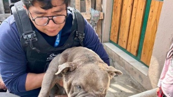 Una de las mascotas rescatadas junto a los técnicos de la Unidad de Bienestar Animal (UBA). (Cortesía del Municipio)