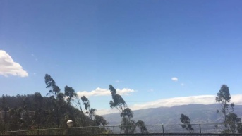 Fuertes vientos se esperan esta tarde en la capital (Web)